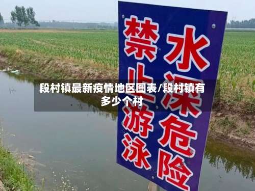 段村镇最新疫情地区图表/段村镇有多少个村-第3张图片
