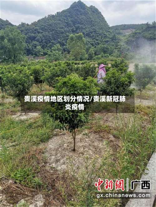 贵溪疫情地区划分情况/贵溪新冠肺炎疫情-第1张图片