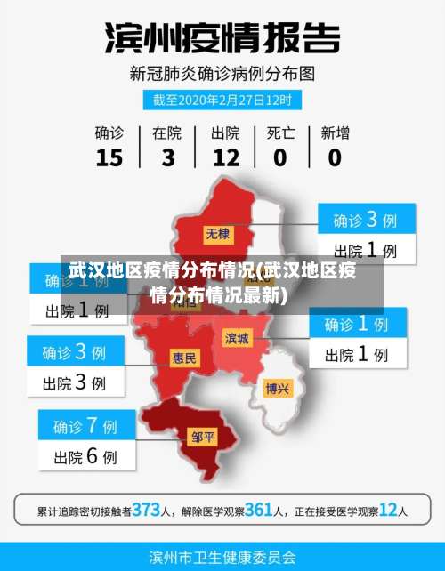 武汉地区疫情分布情况(武汉地区疫情分布情况最新)-第2张图片