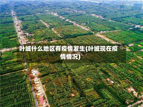 叶城什么地区有疫情发生(叶城现在疫情情况)-第2张图片