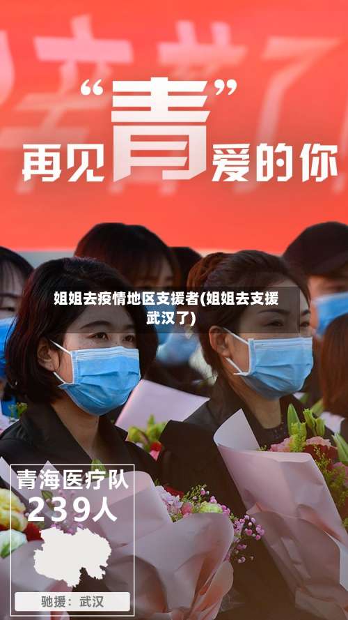 姐姐去疫情地区支援者(姐姐去支援武汉了)-第1张图片