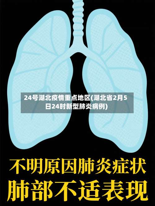 24号湖北疫情重点地区(湖北省2月5日24时新型肺炎病例)-第2张图片