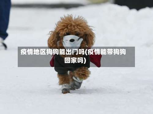 疫情地区狗狗能出门吗(疫情能带狗狗回家吗)-第1张图片