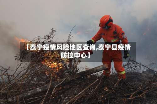 【泰宁疫情风险地区查询,泰宁县疫情防控中心】-第2张图片