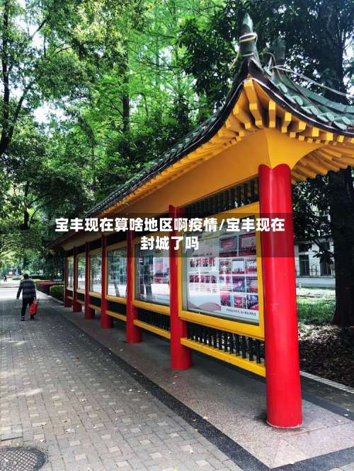 宝丰现在算啥地区啊疫情/宝丰现在封城了吗-第2张图片