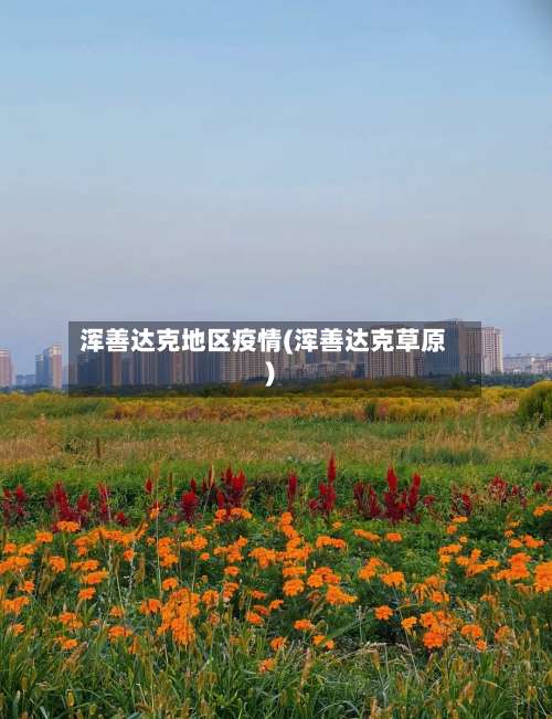 浑善达克地区疫情(浑善达克草原)-第2张图片