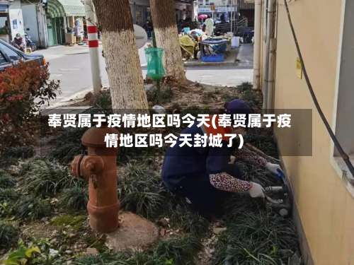 奉贤属于疫情地区吗今天(奉贤属于疫情地区吗今天封城了)-第2张图片