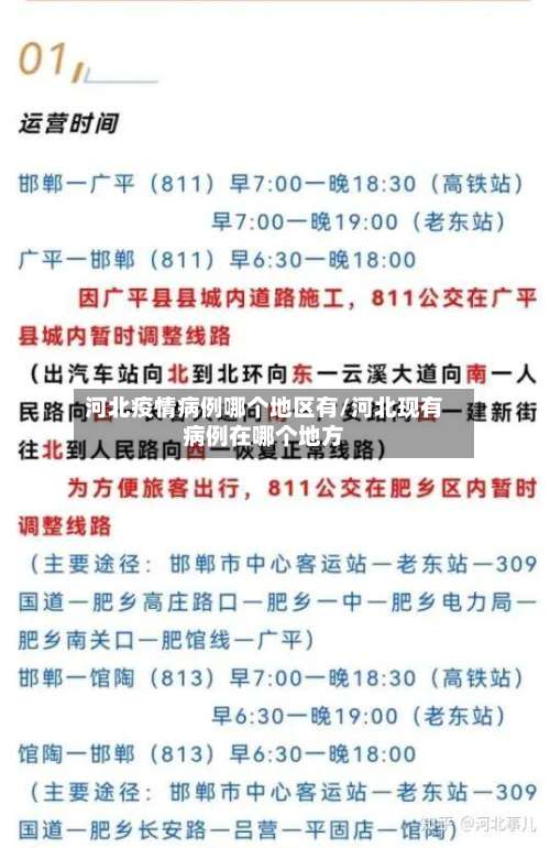 河北疫情病例哪个地区有/河北现有病例在哪个地方-第2张图片