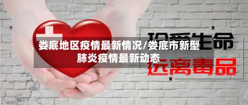 娄底地区疫情最新情况/娄底市新型肺炎疫情最新动态-第1张图片