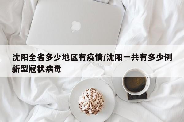 沈阳全省多少地区有疫情/沈阳一共有多少例新型冠状病毒