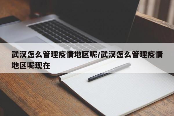 武汉怎么管理疫情地区呢/武汉怎么管理疫情地区呢现在